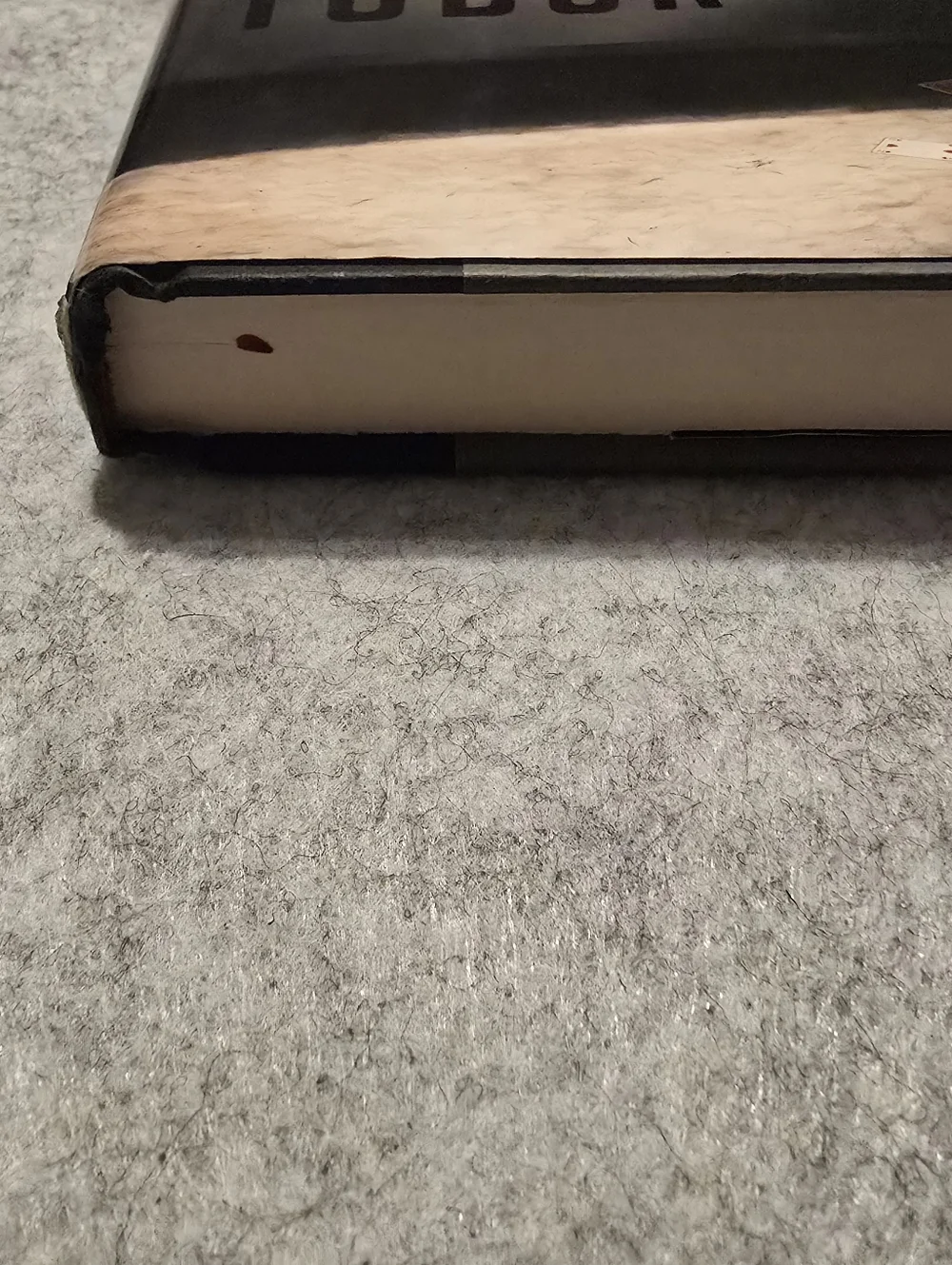 The Hiding Place A Novel By C.J. Tudor Hardcover